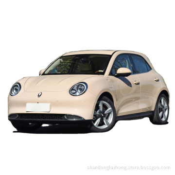 2023 In Stock New Electric Cars Ora for Adult Ora Good Cat MINI EV Car Hatch 100% New Energy Vehicle Auto Car